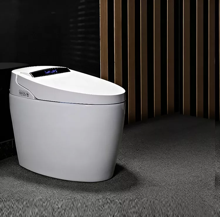 Toilet Smart Flip-Top Miasa tongotra